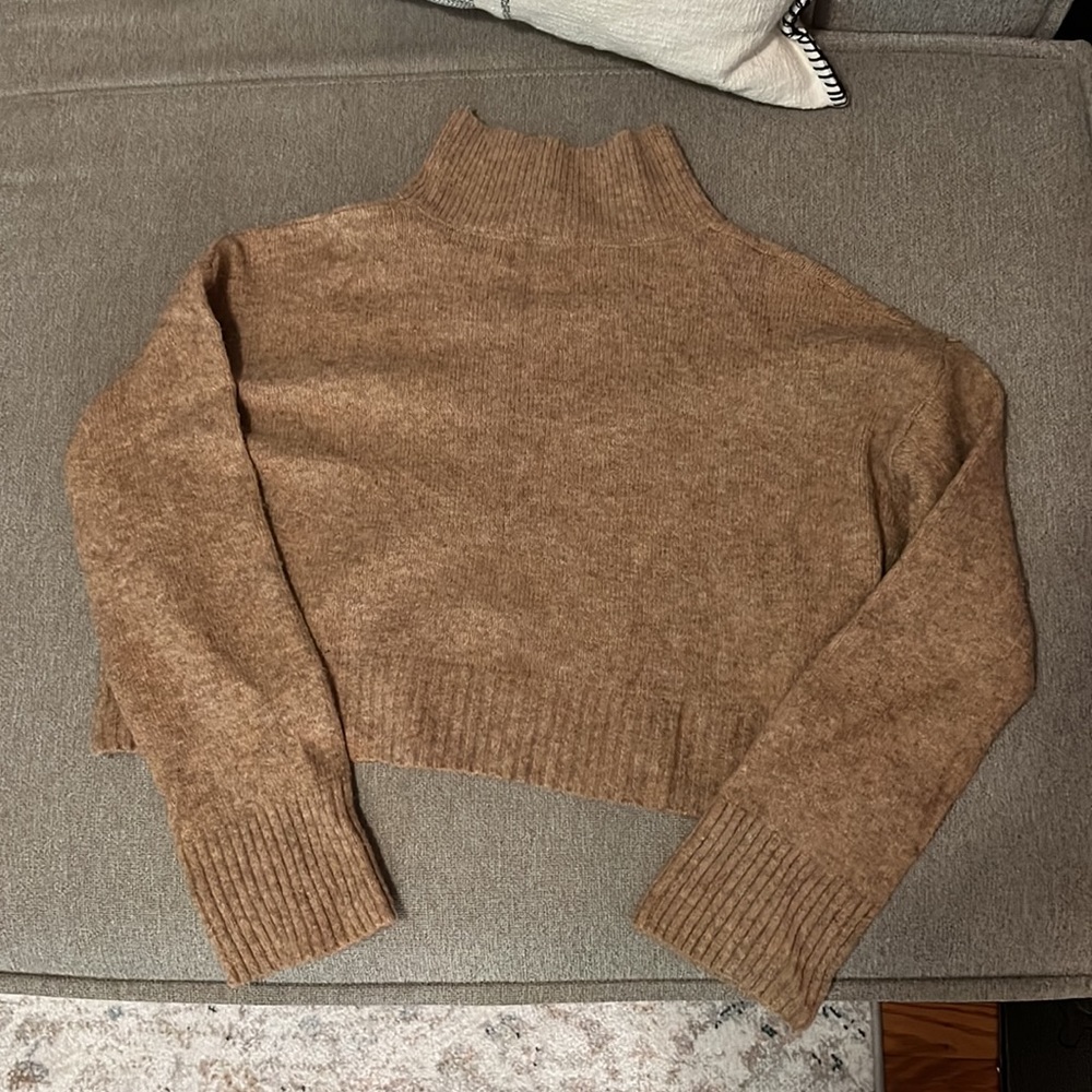 Petal & Pup Cropped Tan Mockneck Sweater